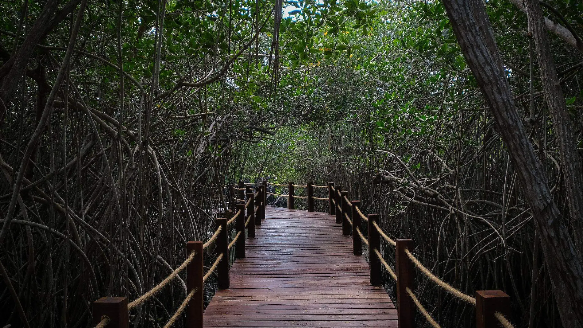 Gobierno de Jalisco Parque Estero El Salado